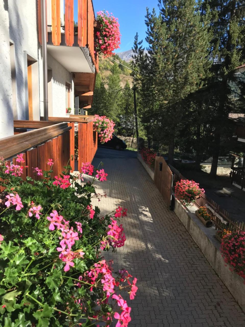 Hotel La Nigritella Bardonecchia Ngoại thất bức ảnh